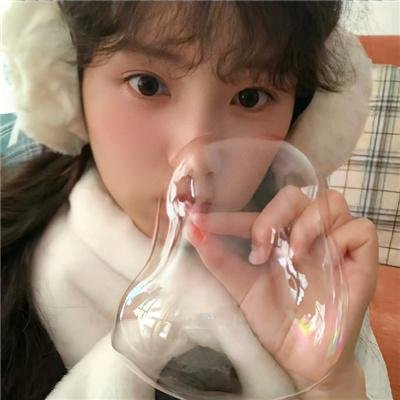 冒牌鹦鹉