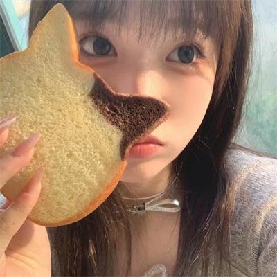 小狗丹的物语