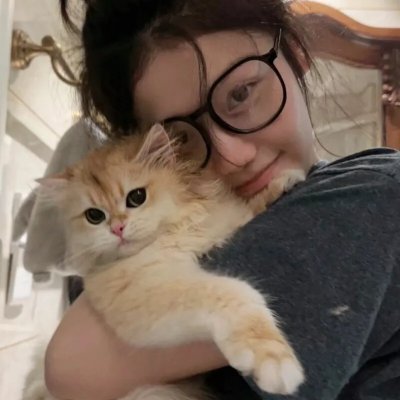 巅峰拍档第十一季