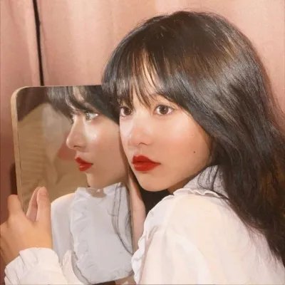 世系脉络